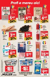 Catalog PROFI Pagină 8