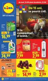 Catalog Lidl săptămâna 25 Pagină 1