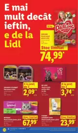 Catalog Lidl săptămâna 25 Pagină 10