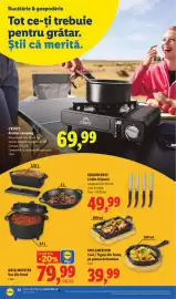 Catalog Lidl săptămâna 25 Pagină 22