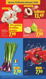 Catalog Lidl săptămâna 25 Pagină 5