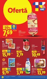 Catalog Lidl săptămâna 25 Pagină 8