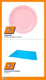 Action Prospekt woche 24 Seite 8