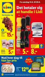 Lidl tilbudsavis uge 25 Side 1
