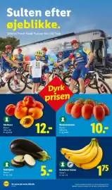 Lidl tilbudsavis uge 25 Side 2
