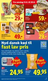 Lidl tilbudsavis uge 25 Side 3