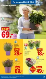 Lidl tilbudsavis uge 25 Side 34