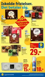 Lidl tilbudsavis uge 25 Side 37