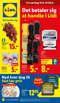 Lidl (gælder indtil 21-06)