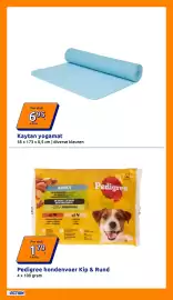 Action folder week 24 Pagina 21