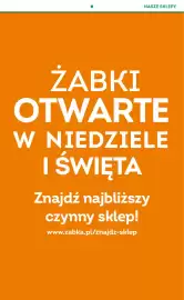 Żabka gazetka tydzień 24 Strona 5