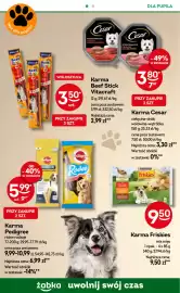 Żabka gazetka tydzień 24 Strona 98