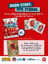 Føtex tilbudsavis Side 13