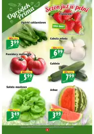 Prim Market gazetka tydzień 24 Strona 6