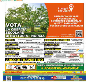Volantino Iper Triscount Pagina 20