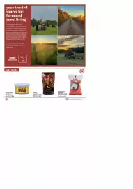 Home Furniture flyer Page 2