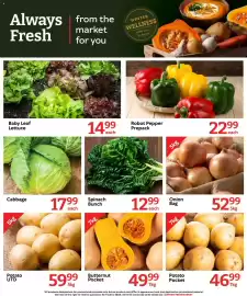 Oxford Freshmarket catalogue week 24 Page 6