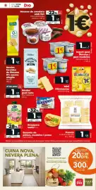 Folleto La Plaza de DIA semana 24 Página 8
