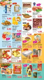 Wiglo Wunderland Prospekt woche 24 Seite 3