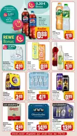 REWE PETZ Prospekt woche 24 Seite 20