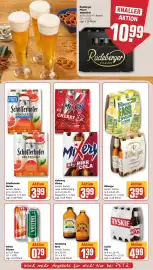 REWE PETZ Prospekt woche 24 Seite 21