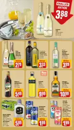 REWE PETZ Prospekt woche 24 Seite 22