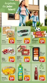 REWE PETZ Prospekt woche 24 Seite 26