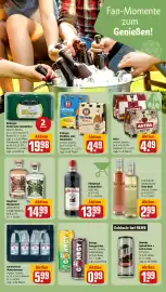 REWE PETZ Prospekt woche 24 Seite 27
