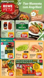 REWE PETZ Prospekt woche 24 Seite 3