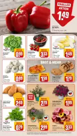 REWE PETZ Prospekt woche 24 Seite 9