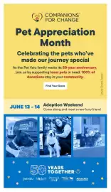 Bosley's flyer Page 11