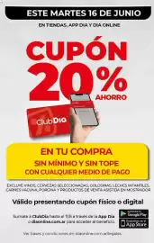Folleto Supermercados DIA semana 24 Página 10