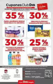 Folleto Supermercados DIA semana 24 Página 11