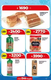 Folleto Supermercados DIA semana 24 Página 13