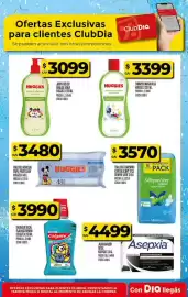Folleto Supermercados DIA semana 24 Página 25
