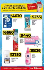 Folleto Supermercados DIA semana 24 Página 26