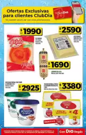 Folleto Supermercados DIA semana 24 Página 27
