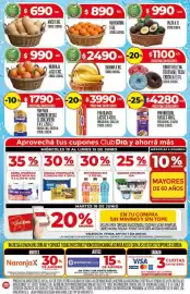 Folleto Supermercados DIA semana 24 Página 4