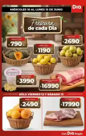 Folleto Supermercados DIA semana 24 Página 7