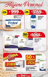 Folleto Supermercados DIA semana 24 Página 9