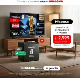 Catálogo Hiraoka Página 5