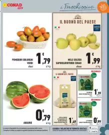 Volantino Conad City settimana 24 Pagina 5