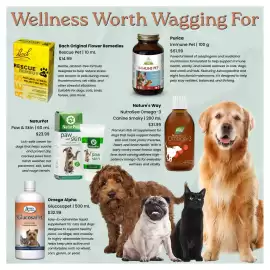 Goodness Me flyer week 24 Page 12