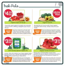 Healthy Planet flyer Page 2