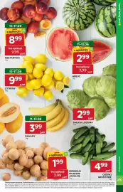Stokrotka gazetka tydzień 24 Strona 11
