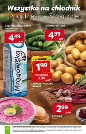 Stokrotka gazetka tydzień 24 Strona 12