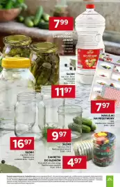 Stokrotka gazetka tydzień 24 Strona 9