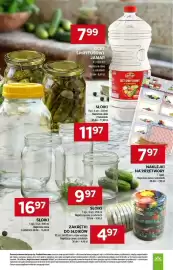 Stokrotka gazetka tydzień 24 Strona 9