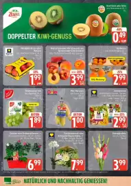 Edeka DE folder week 24 Pagina 8