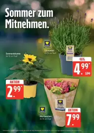 Edeka DE folder week 24 Pagina 9